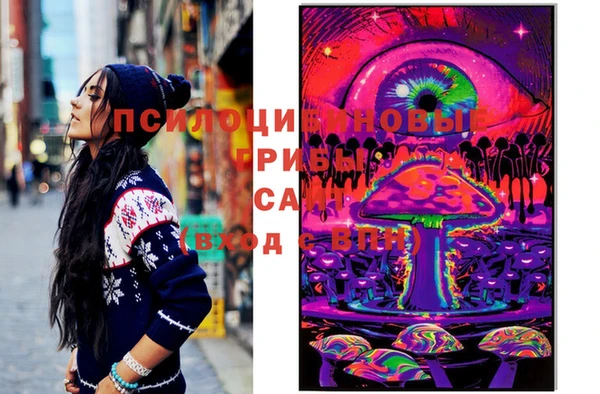 дживик Балахна