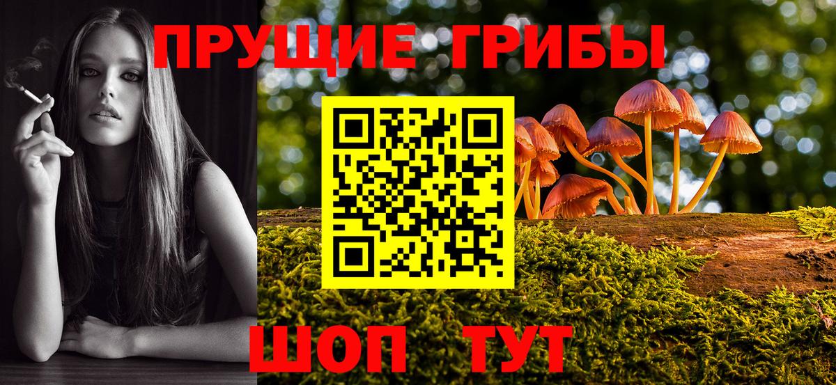Галлюциногенные грибы MAGIC MUSHROOMS Рыбинск